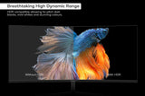 NNEKG 34 Curved Ultrawide WQHD 100Hz Freesync Gaming Monitor (3440 x 1440)