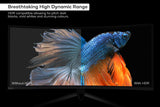 NNEKG 34 Curved Ultrawide WQHD 165Hz Freesync HDR Gaming Monitor (3440 x 1440)