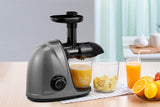 NNEKG Slow Masticating Juicer (Grey)