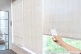 NNEKG Smart Blinds Driver