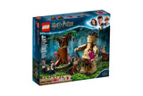 NNEKG LEGO Harry Potter Forbidden Forest: Umbridges Encounter (75967)