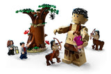 NNEKG LEGO Harry Potter Forbidden Forest: Umbridges Encounter (75967)