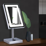 NNEDSZ Makeup Mirror With Light Standing Dressing Mirror LED Strip