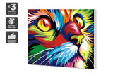 NNEKG Painting by Numbers Colourful Cat