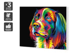 NNEKG Painting by Numbers Colourful Dog