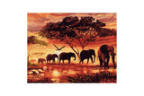 NNEKG Painting by Numbers Elephants