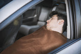 NNEKGE 12v Car Electric Blanket (Brown)