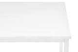 NNEKG Leo Study Desk (White)
