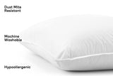 NNEKG Set of 2 Microfibre European Pillows