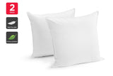 NNEKG Set of 2 Microfibre European Pillows