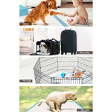 NNEDSZ 200pcs Puppy Dog Pet Training Pads Cat Toilet 60 x 60cm Super Absorbent Indoor Disposable