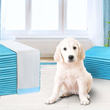NNEDSZ 400pcs Puppy Dog Pet Training Pads Cat Toilet 60 x 60cm Super Absorbent Indoor Disposable