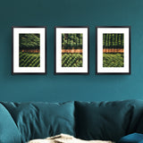 NNEDSZ 3 Photo Frame Wall Set A3 Picture Home Decor Art Gift Present Black