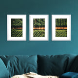 NNEDSZ 3 Photo Frame Wall Set A3 Picture Home Decor Art Gift Present White