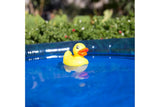 NNEKG Playgro Duckie