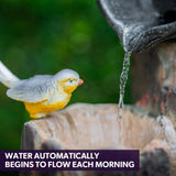 NNEMB Solar Powered Water Feature Fountain with Buckets Bird LED Lights