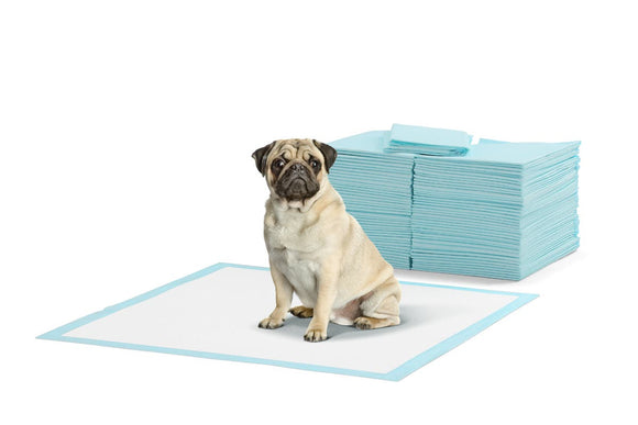 NNEKG Pets 200 Pack Puppy Training Pads (Blue)