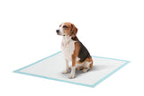 NNEKG Pets 200 Pack Puppy Training Pads (Blue)