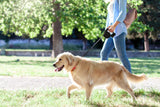 NNEKG Pets LED Dog Leash with Bag Dispenser