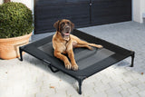 NNEKG Pets Dog Trampoline Bed (X Large)