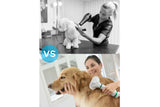 NNEKG Pets Grooming Hair Dryer with Slicker Brush