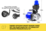 NNEDPE Hydro Active 800w Weatherised Stainless Auto Water Pump Blue