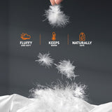 NNEDSZ  Bedding Goose Down Feather Quilt Cover Duvet 800GSM Winter Doona White King