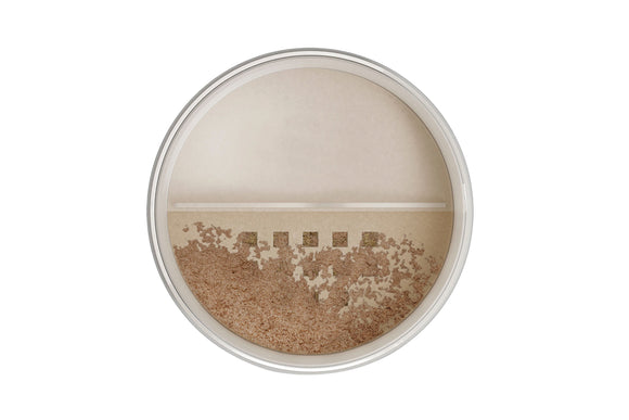 NNEKG From The Earth Loose Mineral Powder 60 Bronze 12g