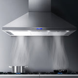 NNEDSZ 1200mm Commercial BBQ Rangehood - Silver