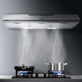 NNEDSZ Fixed Range Hood Rangehood Stainless Steel Kitchen Canopy 90cm 900mm