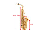 NNEKG Royale Alto Saxophone with Accessories