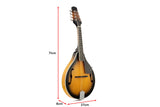 NNEKG Royale A Style Acoustic Mandolin Mahogany (Sunburst)