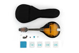 NNEKG Royale A Style Acoustic Mandolin Mahogany (Sunburst)