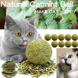 NNEOBA Pet Catnip Toys Edible Catnip Ball Safety Healthy Cat Mint Cats Home Chasing Game Toy Products Clean Teeth The Stomach Catmint