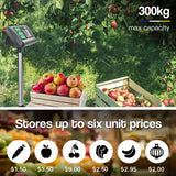 NNEMB 300KG Commercial Electronic Digital Platform Market Postal Scales
