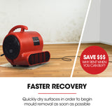 NNEMB Carpet Floor Dryer Air Mover Blower Fan-3-Speed-800CFM-Commercial/Home