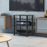 NNEDSZ 4 Tier TV Media Stand