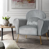 NNEDSZ Armchair Lounge Chair Accent Armchairs Chairs Sofa Grey Velvet Cushion