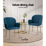 NNEDSZ  Set of 2 Kynsee Dining Chairs Armchair Cafe Chair Upholstered Velvet Blue