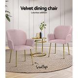 NNEDSZ  Set of 2 Kynsee Dining Chairs Armchair Cafe Chair Upholstered Velvet Pink