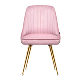 NNEDSZ Set of 2 Dining Chairs Retro Chair Cafe Kitchen Modern Iron Legs Velvet Pink