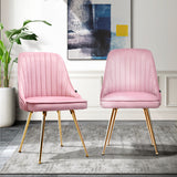 NNEDSZ Set of 2 Dining Chairs Retro Chair Cafe Kitchen Modern Iron Legs Velvet Pink