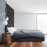 NNEDSZ  Luxury Gas Lift Bed Frame Base And Headboard With Storage - Queen - Charcoal