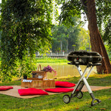 NNEDSZ Havana Outdoors BBQ Mate Premium Portable Gas Grill LPG Twin Grill Outdoor Black