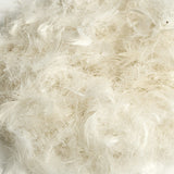 NNEDSZ Comfort Goose Down Feather Pillows 1000GSM 100% Cotton Cover - Twin Pack 50 x 75 cm White