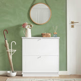 NNEDSZ 2 Drawer Shoe Cabinet Storage Unit
