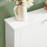 NNEDSZ 2 Drawer Shoe Cabinet Storage Unit