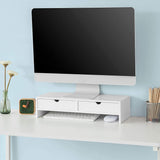 NNEDSZ White Monitor Stand Desk Organizer with 2 Drawers