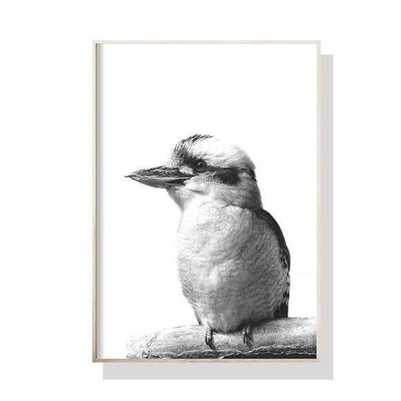 NNEDSZ 70cmx100cm Kookaburra Black Frame Canvas Wall Art