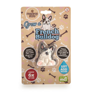 NNEDSZ Grow French Bulldog